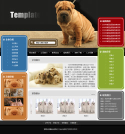 模板网站-宠物养殖场网站