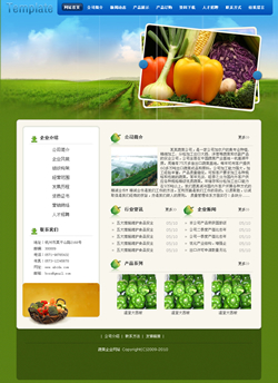 模板网站-蔬菜公司网站